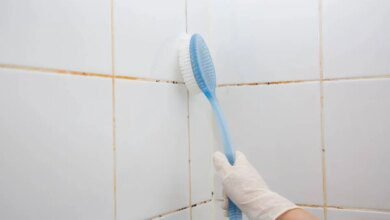 Adeus, bolor! Técnica fácil acaba com manchas no banheiro em minutos