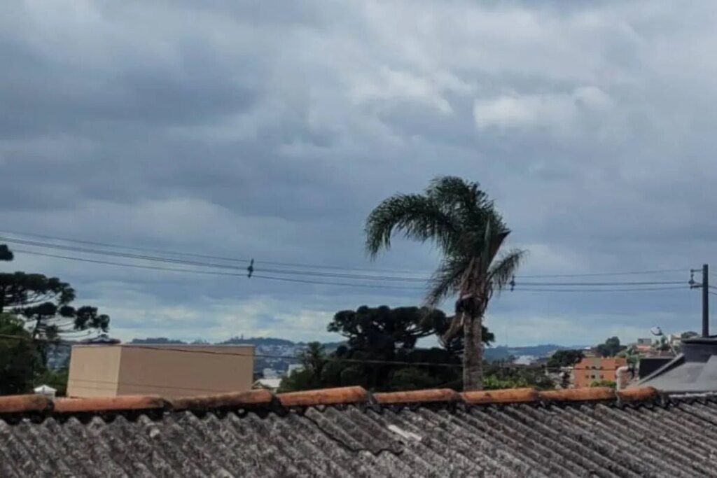 Vento em bairro de Curitiba alcança 72 km/h. Lista tem maiores rajadas