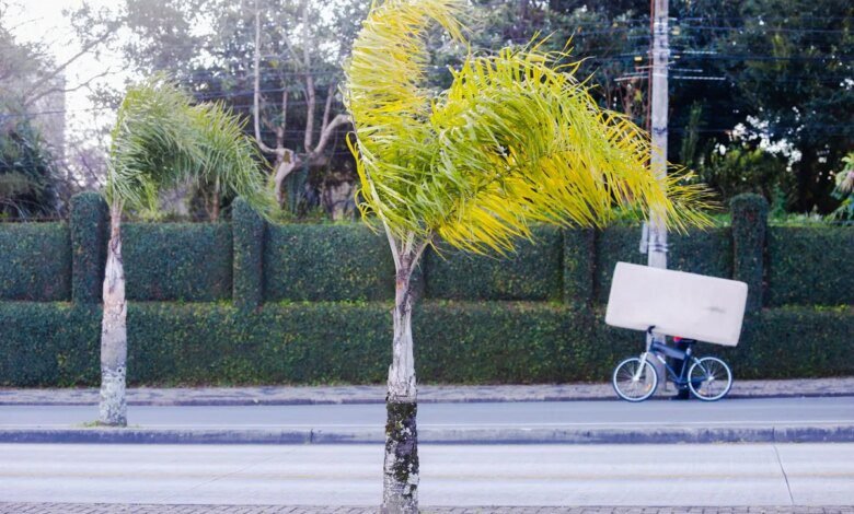 Ventos fortes quebram recordes no Paraná nesta quarta-feira