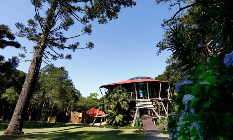 Vereadora de Curitiba pede tombamento do Bosque da Copel, no Bigorrilho